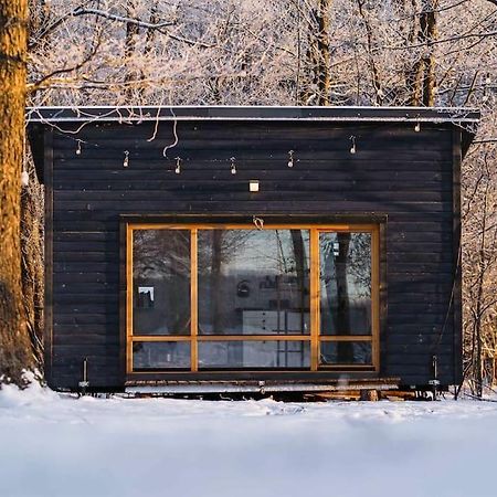 Beautiful Tiny House On The Lake Side. Тракай Екстер'єр фото